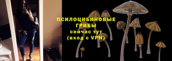 герыч Бородино