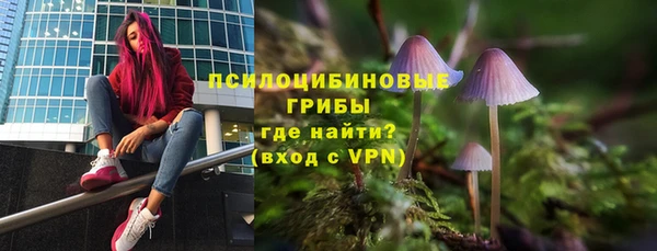 герыч Бородино