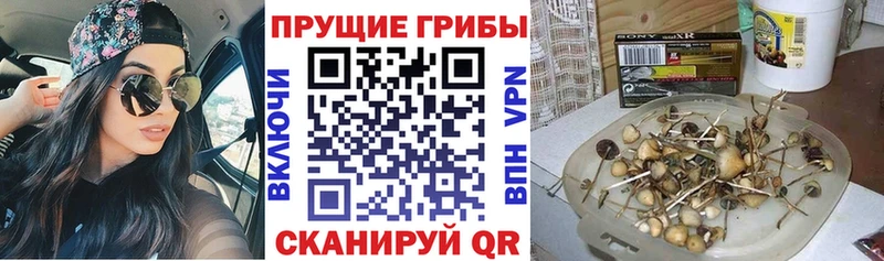 Галлюциногенные грибы мицелий  магазин  наркотиков  omg онион  Велиж 
